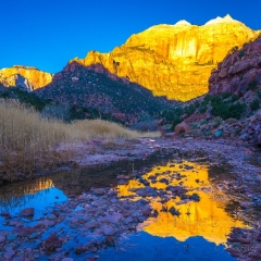 Zion Photography Golden Light on the Sentinel Reflected.jpg