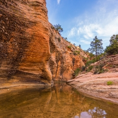 Zion Pools Soft Light To order a print please email me at  Mike Reid Photography : zion, zion national park, bryce canyon, hoodoos, utah, arizona, landscape, landscape photographjy, travel photography, sonyalpha, zeiss lenses, zion canyon drive