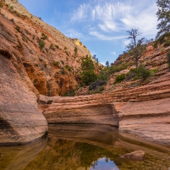 Zion Sunrise Light Reflective Pools To order a print please email me at  Mike Reid Photography : zion, zion national park, bryce canyon, hoodoos, utah, arizona, landscape, landscape photographjy, travel photography, sonyalpha, zeiss lenses, zion canyon drive