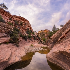 Zion pools To order a print please email me at  Mike Reid Photography : zion, zion national park, bryce canyon, hoodoos, utah, arizona, landscape, landscape photographjy, travel photography, sonyalpha, zeiss lenses, zion canyon drive