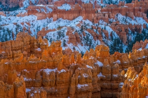 Bryce Canyon Photography Afternoon Golden Light