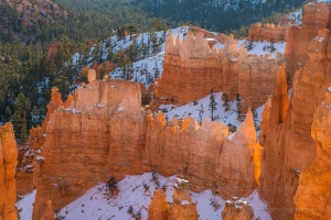 Bryce Canyon Photography Into the Canyon Sunrise Light Rows