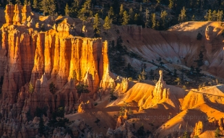 Bryce Canyon Photography Morning Light