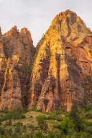 Zion Columns