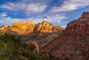 Zion Golden Light