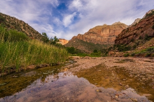 Zion Landscape