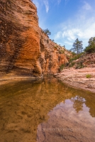 Zion Pools Soft Light