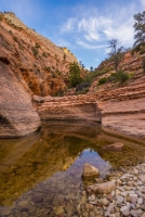 Zion Sunrise Light Reflective Pools