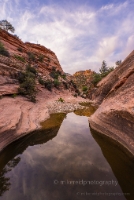 Zion pools