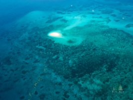 Aerial Australia Island Great Barrier Reef.jpg