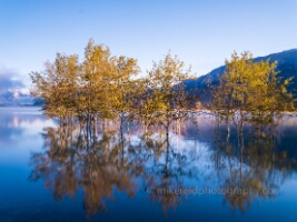 Dreamlike Sunrise Reflections – Misty Aspens and Still Water | GFX100S A peaceful fine art image of aspens reflected in glassy morning water beneath soft sunrise light, captured with the Fujifilm GFX100S. The gentle blur and...