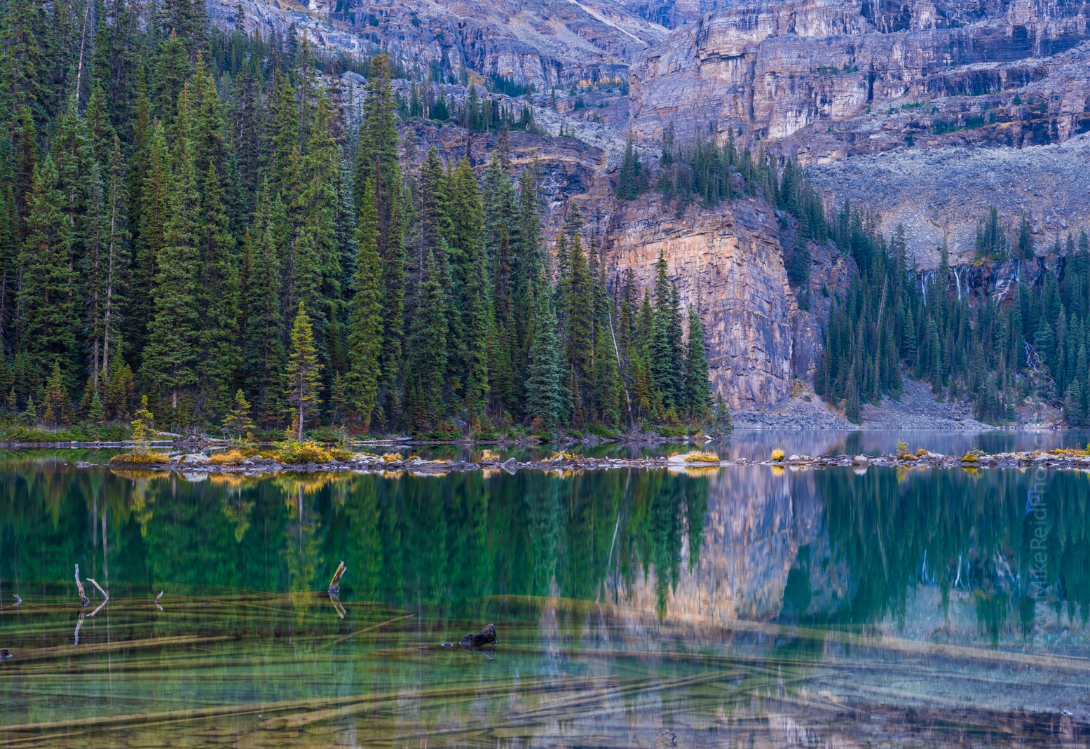 Canadian Rockies  Lake OHara Trees and Reflections