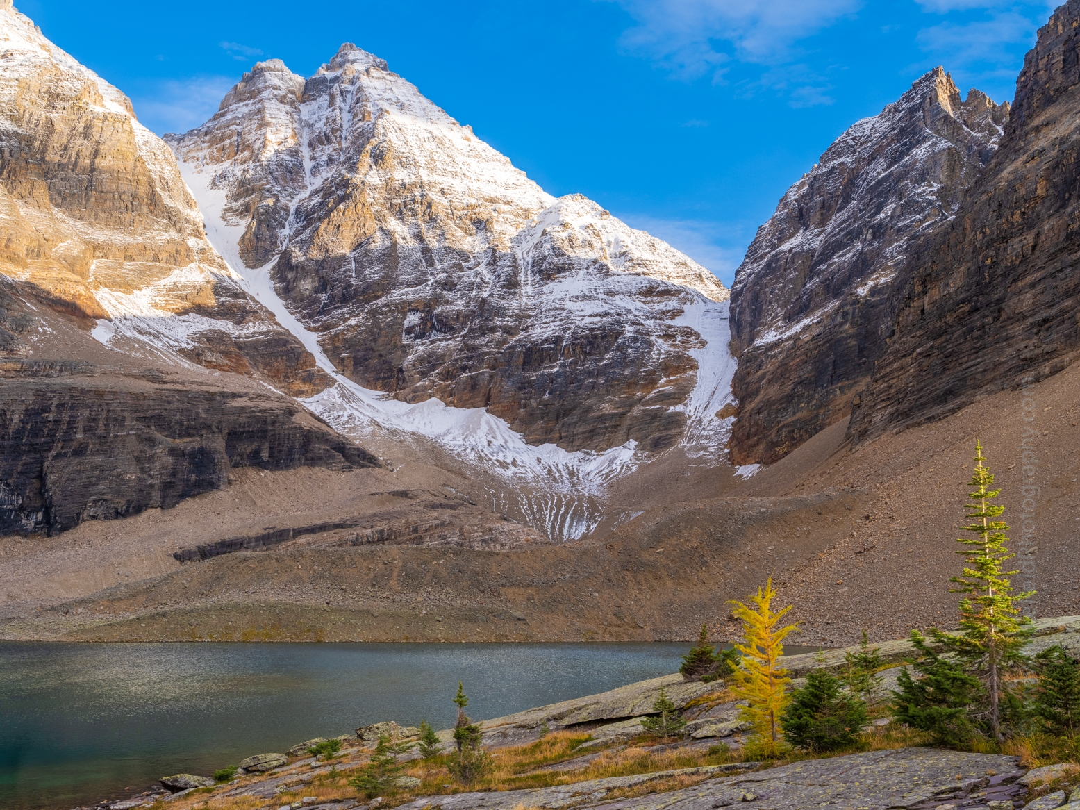 Canadian Rockies Lake Oesa and Peaks and a Larch.jpg 