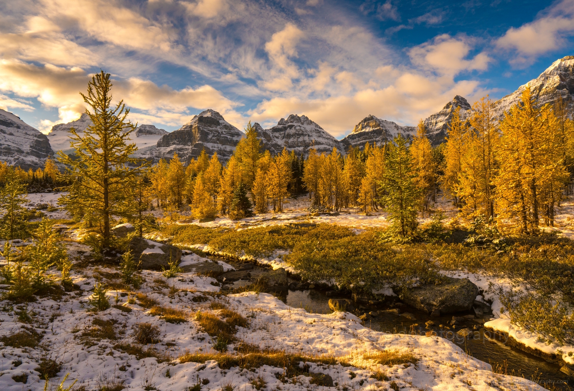 Canadian Rockies Larch Valley Fall Colors Golden Larch Landscape