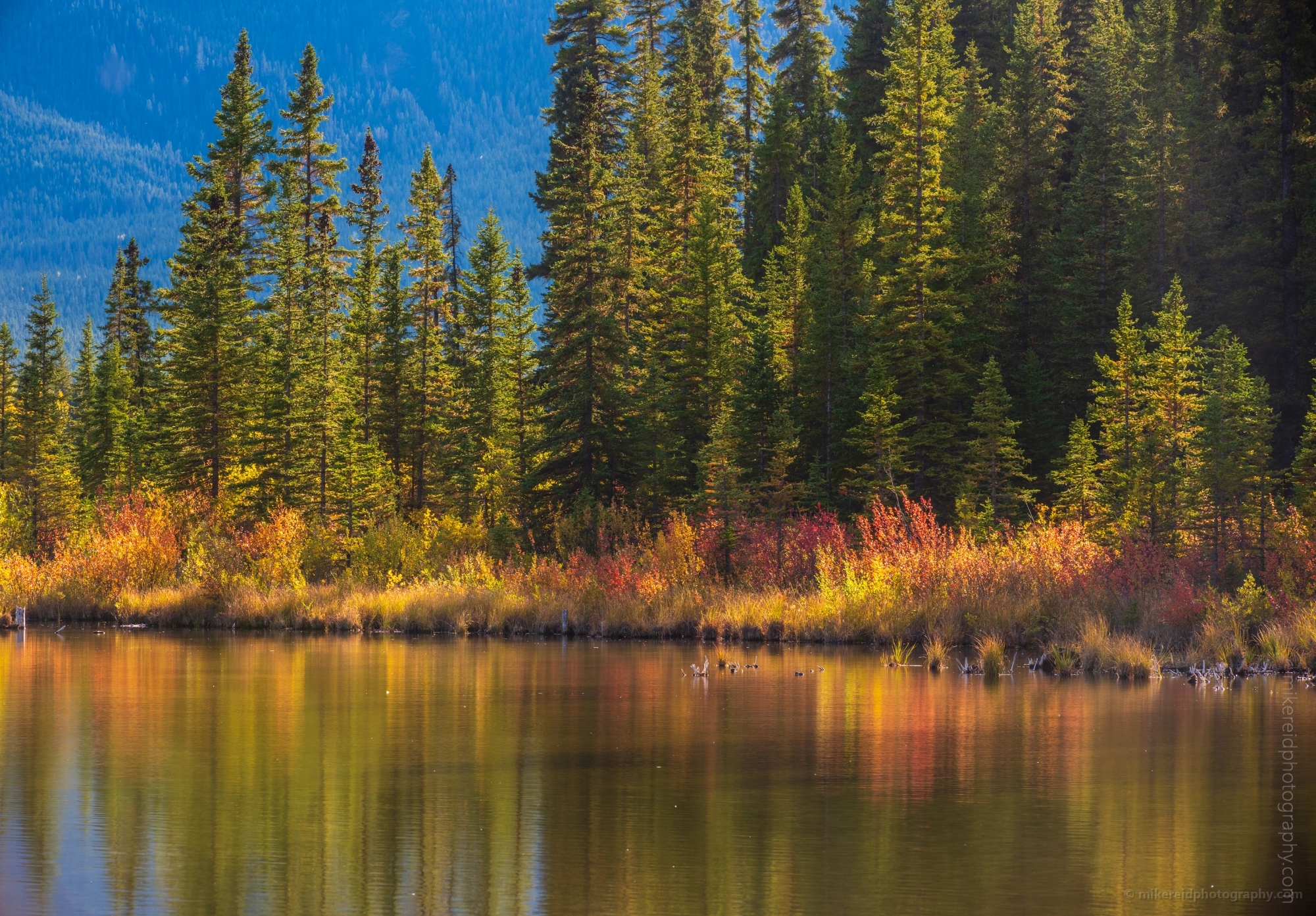 Canadian Rockies Vermillion Lakes Fall Colors