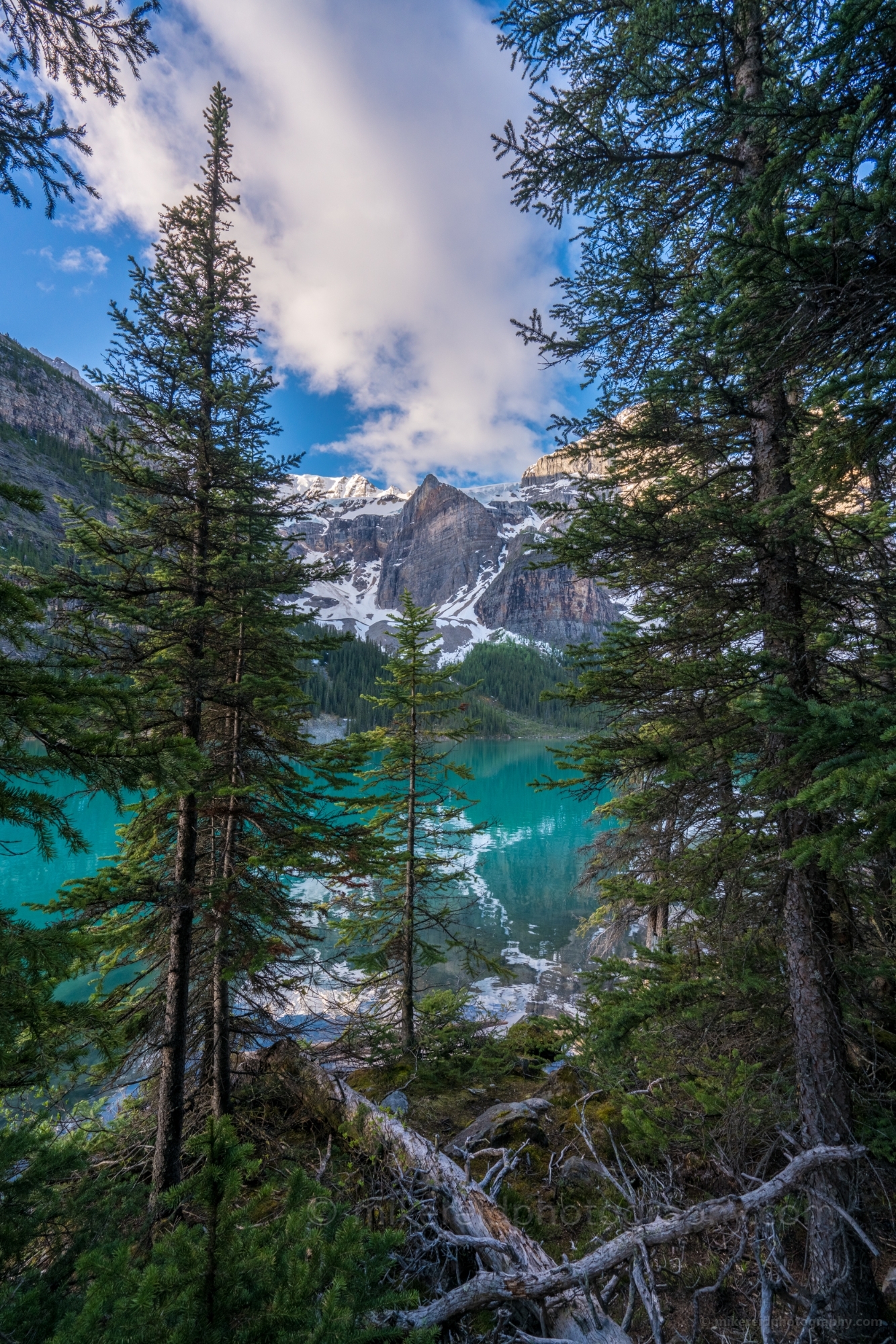 Lake Moraine Reflection Through the Forest