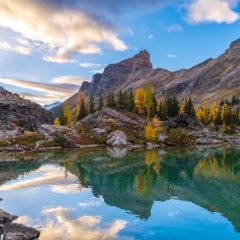Canadian Rockies  Lake Lefroy Sunset and Fall Colors.jpg