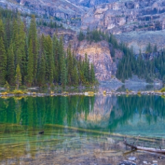 Canadian Rockies  Lake OHara Greens.jpg
