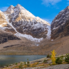 Canadian Rockies  Lake Oesa and Peaks and a Larch.jpg