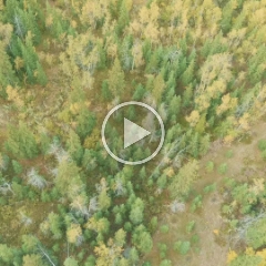Canadian Rockies Fall Colors Aerial Video Aspens and Aqua.mp4