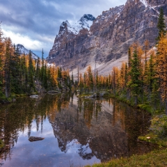 Canadian Rockies Fall Colors Reflection.jpg