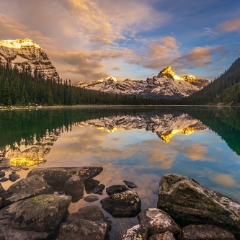 Canadian Rockies Lake OHara Mount Odaray Sunrise.jpg