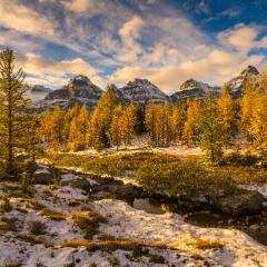 Canadian Rockies Larch Valley Fall Colors Golden Larch Landscape.jpg