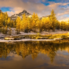 Canadian Rockies Larch Valley Fall Colors Golden Larches.jpg