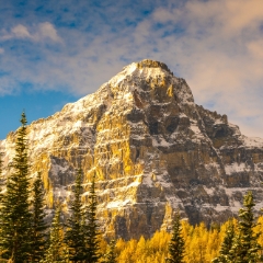 Canadian Rockies Larch Valley Fall Colors Mount Tuzo.jpg