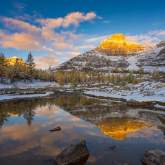 Canadian Rockies Larch Valley Fall Colors Reflection at Dawn .jpg