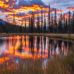 Canadian Rockies Marsh Sunrise.jpg