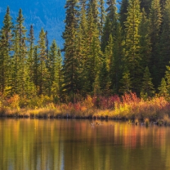 Canadian Rockies Vermillion Lakes Fall Colors.jpg