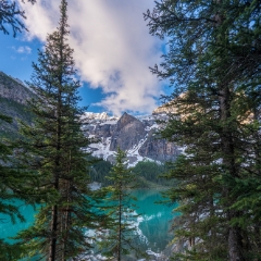Lake Moraine Reflection Through the Forest.jpg
