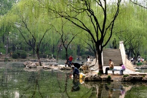 Beijing City Fishing Pond