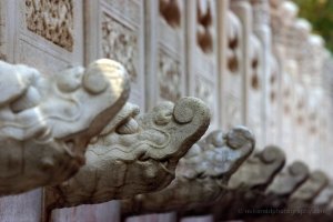 Forbidden City Dragon Row.JPG