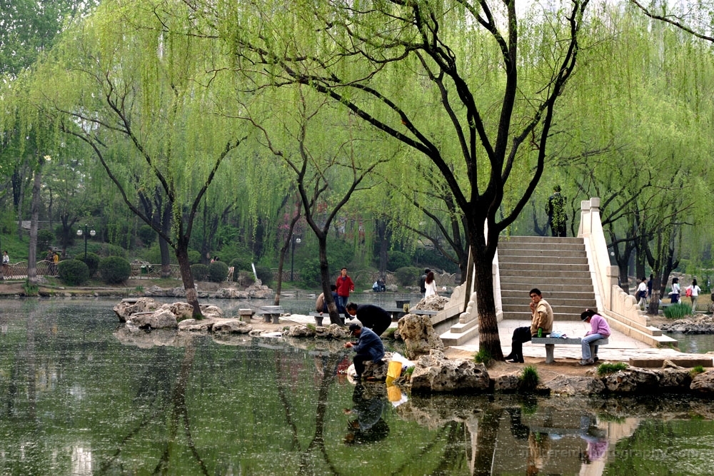 Beijing City Fishing Pond