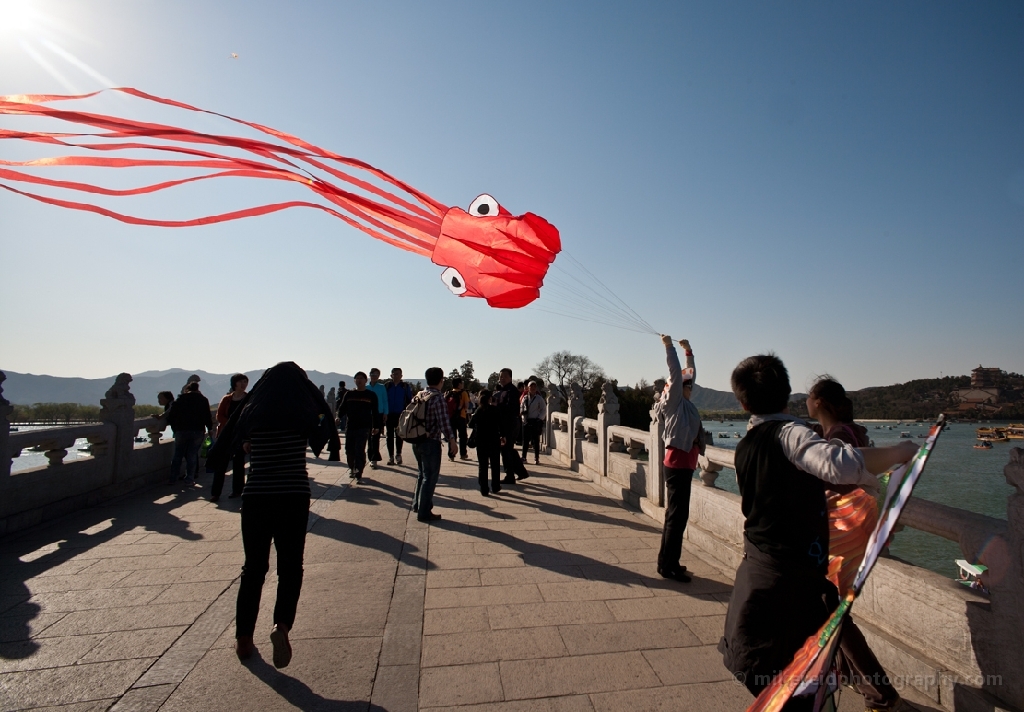 Kites Flying Beijing