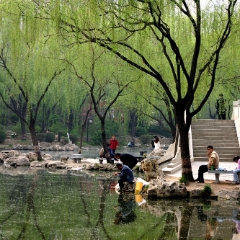 Beijing City Fishing Pond To order a print please email me at  Mike Reid Photography : bamboo, beijing, china, temple, great wall, forbidden city, summer palace