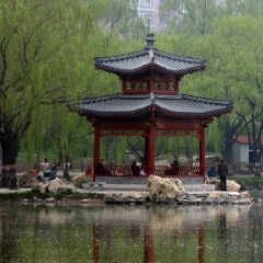 Fragrant Park Lake To order a print please email me at  Mike Reid Photography : bamboo, beijing, china, temple, great wall, forbidden city, summer palace
