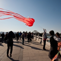 Kites Flying Beijing.jpg