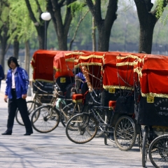 Rickshaws row To order a print please email me at  Mike Reid Photography : bamboo, beijing, china, temple, great wall, forbidden city, summer palace