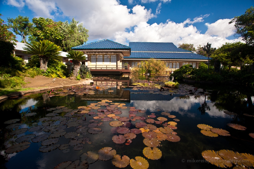 Hawaii Hotel Pond 