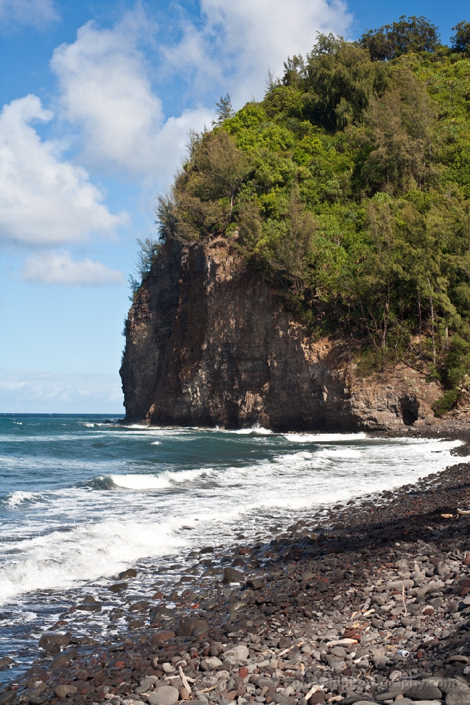 Hawaiian Sunny Beach 