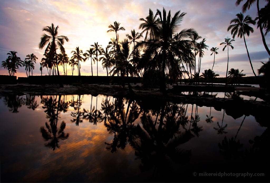 Hawaii City of Refuge Palm Trees