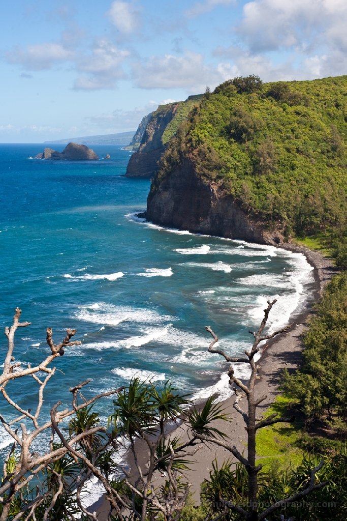 Hawaiian Coast