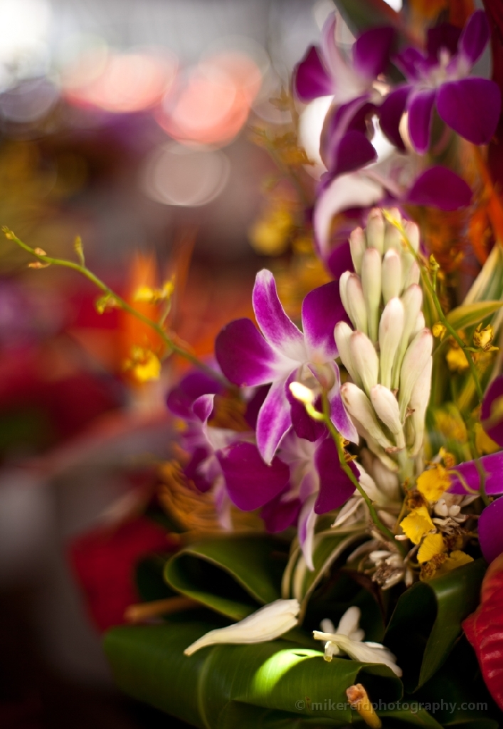 Hawaiian Flowers Flourish