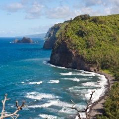 Hawaiian Coast To order a print please email me at  Mike Reid Photography : aloe, hawaii, hawaiin, big island, plants, Zeiss Flowersfloral, plumeria, orchids, gecko, beach, hawaiian botanical gardens