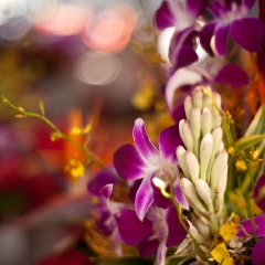 Hawaiian Flowers Flourish To order a print please email me at  Mike Reid Photography : aloe, hawaii, hawaiin, big island, plants, Zeiss Flowersfloral, plumeria, orchids, gecko, beach, hawaiian botanical gardens