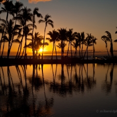 Kukio Bay Hawaiian Sunset To order a print please email me at  Mike Reid Photography : aloe, hawaii, hawaiin, big island, plants, Zeiss Flowersfloral, plumeria, orchids, gecko, beach, hawaiian botanical gardens