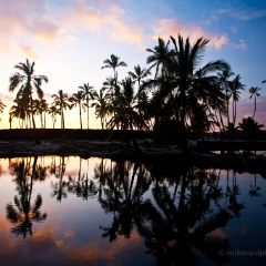 Kukio Bay Sunset To order a print please email me at  Mike Reid Photography : aloe, hawaii, hawaiin, big island, plants, Zeiss Flowersfloral, plumeria, orchids, gecko, beach, hawaiian botanical gardens